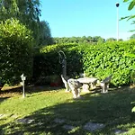 La Cinci Allegra *