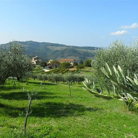 La Cinci Allegra Valfabbrica