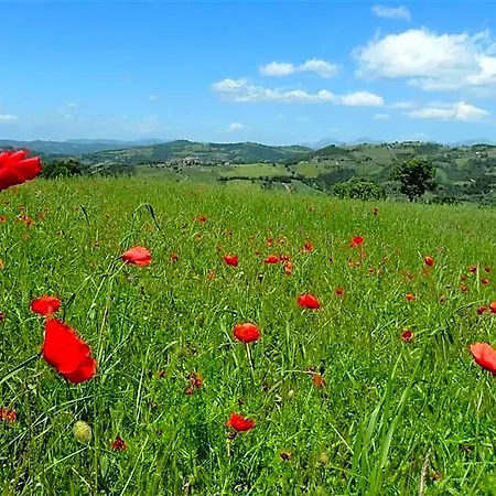 La Cinci Allegra Valfabbrica