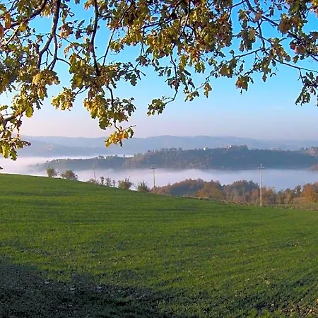 La Cinci Allegra Valfabbrica