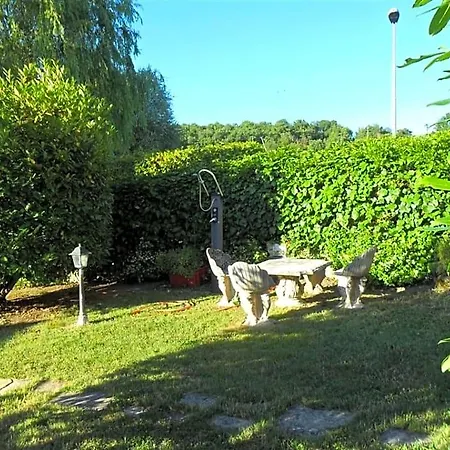 La Cinci Allegra * Valfabbrica