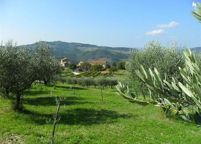 La Cinci Allegra Valfabbrica