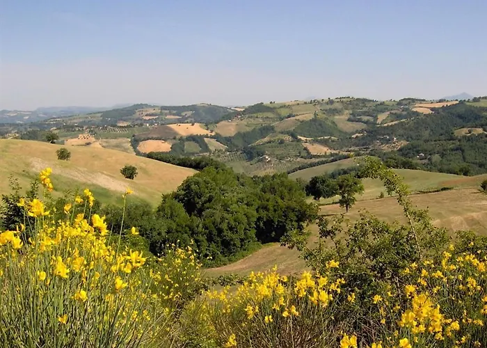 Bed & Breakfast La Cinci Allegra Valfabbrica