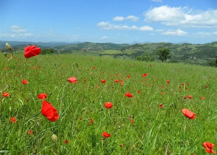La Cinci Allegra Bed & Breakfast Valfabbrica