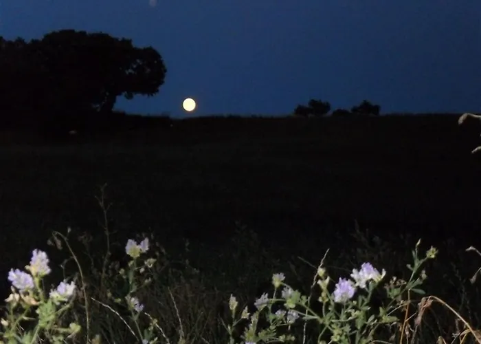 La Cinci Allegra * Valfabbrica